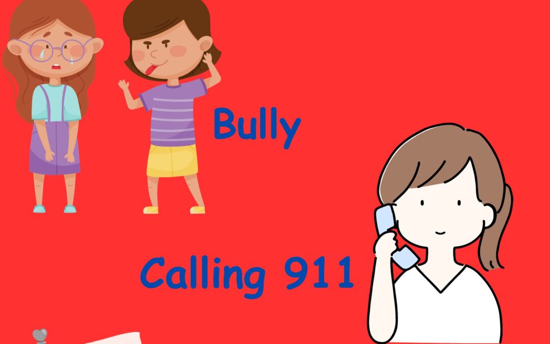 Bullies, Calling 911, and Respecting Differences – Themes of the Week